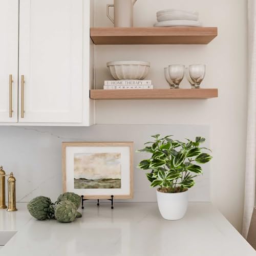 Briful Kunstpflanze Wie Echt Künstliche Ficus Pflanzen im Topf Kleine Dekopflanze für Fensterbank Wohnzimmer Badezimmer Dekoration – Bild 6