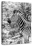 ElephantStock - BW Portrait Of Burchell's Zebra II Wall Art - Vertical Canvas Wall Art - Living Room Wall Decor - Photography Zebra Canvas Art - Black And Gray Decor by Philippe Hugonnard - 16' x 24'