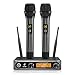 TONOR Microfono Senza Fili Doppio Microfono Wireless UHF Sistema Palmare Dinamico Wireless Professionale Mic, Home KTV Set per Karaoke, Party, DJ, Chiesa, Matrimonio, Riunione