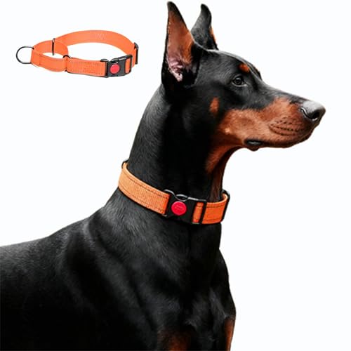 Martingale Hundehalsband, Weiches Reflektierendes Halsband für Mittlere und große Größen (Orange, M)