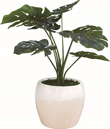 Amazon ケーアイジャパン インテリアグリーン 観葉植物 光触媒 造花 Kmポット モンステラ Km F44 H39cm 造花 オンライン通販