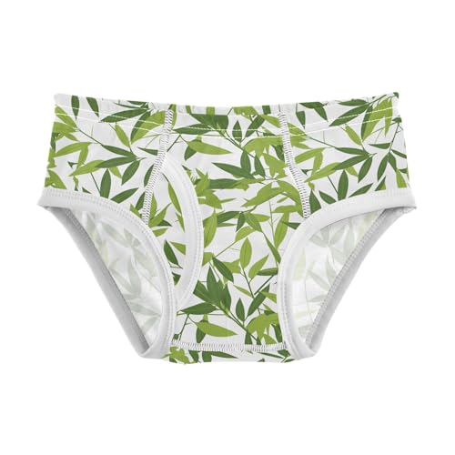 visesunny Boys Cotton Underwear Bamboo Leaf Plant Pattern Printed Toddler Soft Training Briefs Size 2T-8Y for Kids