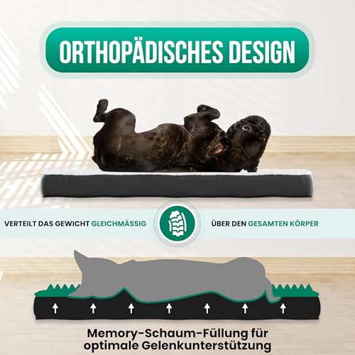 Avalo Orthopädisches Hundebett S - 45x65 cm - Waschbar/Memory Foam/Anti-Rutsch - Orthopädisches Hundekissen