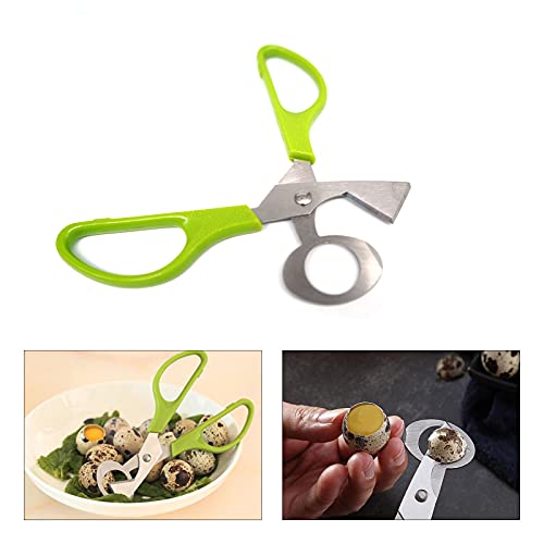 Nomal 10 Pieces Stainless Steel Quail Egg Cutter Pigeon Quail Egg Shell Cutter Scissors Cracker Opener Clipper Kitchen Tools thumb #1