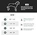EzyDog Double Up Dog Collar – Double D-Rings for Superior Strength, Safety, and Comfort – Nylon Dog Collar with Reflective Trim and ID Attachment Point (Large, Red)