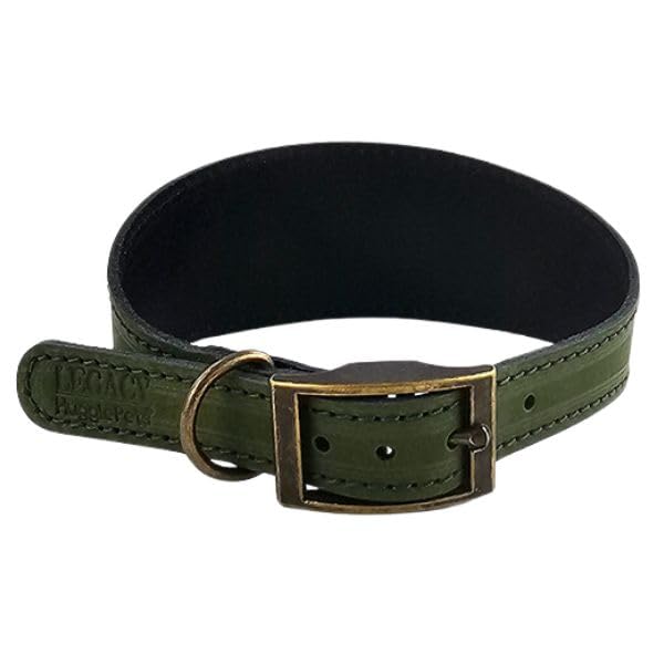 HugglePets Leather Hound Dog Collar (Khaki, Medium)