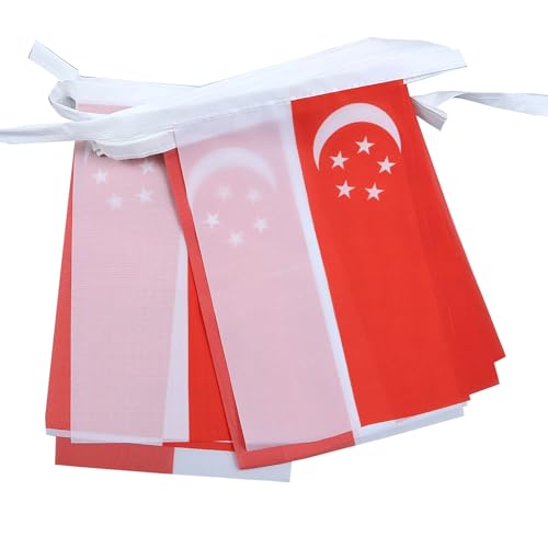 Image of AZ FLAG Singapore 6 meters BUNTING Flag 20 flags 9'' x 6'' - Singaporean STRING flags 15 x 21 cm