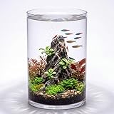 Maxdot 3.2 Gallon Cylindrical Glass Fish Tank Solid Base, 360° Full View Desktop Aquarium Starter, Easy to Maintain Small Microfauna for Betta Snails Shrimp Aquatic Planting and Small Plant Terrarium