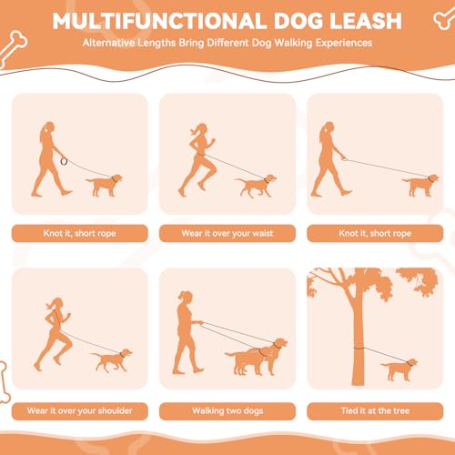 PETCOOZ Hundeleine 3 M Verstellbare Schleppleine für Mittel- & Großhunde(15-60kg), Reflektierende Freihandleine mit 2 Karabiner, Doppelleine aus Robustem Nylon, 200 kg Extreme Kraft