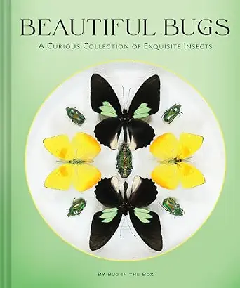 Beautiful Bugs: A Curious Collection of Exquisite Insects book cover