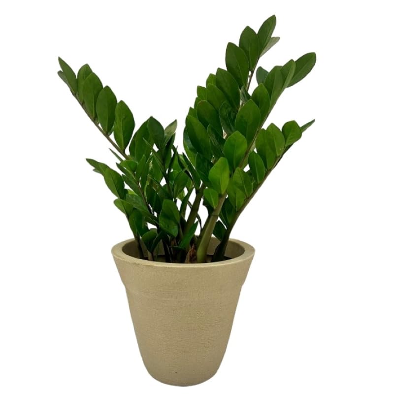 VASO POLIETILENO REDONDO DECORATIVO P/PLANTAS/JARDINS/ESCRITÓRIOS...