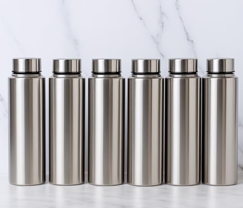 STEEPLE 1000ml Stainless Steel Water Bottle, Fridge Water Bottle Set 1Litre (6)