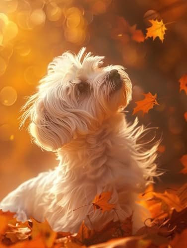 Peinture par numéro enfant et adulte motif chien pour partager un moment artistique en famille