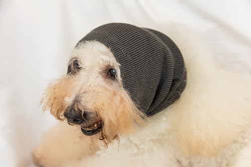 Image of Dog Ear Wrap Keep Calm Comfort Anti Anxiety Relief Protector Head Cover Ears Wrap for Dog Grey+Purple M
