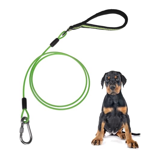 Image of Mihachi Dog Leash Chew Proof, Soft Reflective Padded Handle Dog Chain Leashes, Waterproof Anti Biting Pets Leashes, Stainless Steel Wire Rope Lead for Small Medium Large Dogs Outdoor, 5FT, Green