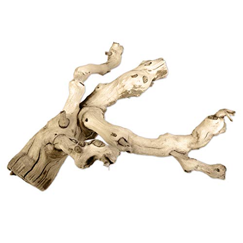Koyal Natural Grapewood Vine Branch, 6-Inch - Thumbnail 4