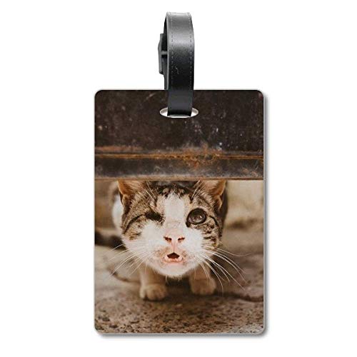 Étiquette pour valise de voyage chat accessoire bagage avion