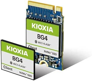 KIOXIA SSD BG5 512GB M.2 (22x30) NVMe Client SSD DWPD