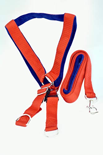 Image of DOGISTA PET Products Dog MUKHMAL Leash Harness Set 1.50, Extra Large