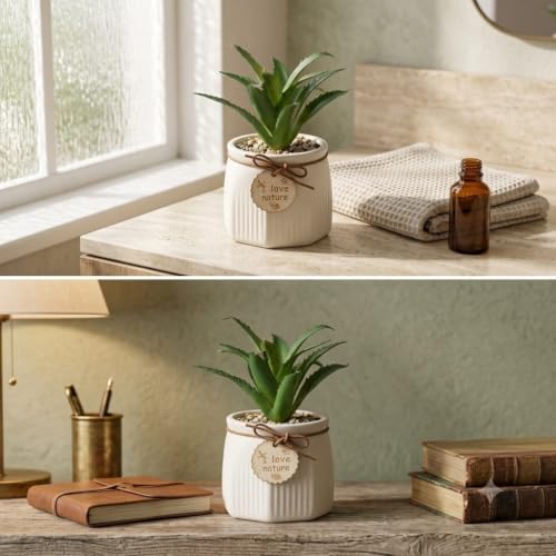 Image of Artificial Aloe Vera Plant with Ceramic Pot | Fake Succulent with Decorative Pebbles & Wooden Tag | Indoor Table Decor | Home Office Desk Plant | 16 cm