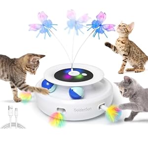 GoldenSun Jouet pour Chat, Jouet Interactif électrique 3 en 1 pour Chats, Whack-A-Mole, Papillon Flottant, Balle Incluse, Jouet pour Chat Rechargeable par USB avec 6 Accessoires
