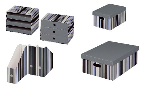 Nips 163101274 - Cartelle portariviste, formato