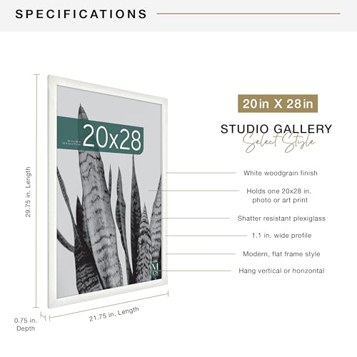 MCS Studio Gallery 20x28 Poster Frame Natural Woodgrain, Vertical & Horizontal Wall Hanging Large Picture Frame for Photos, Posters & Art Prints (2-Pack)