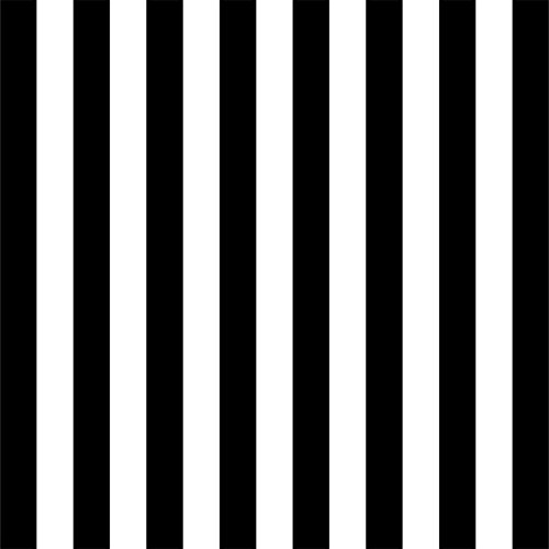 Laeacco 10x10ft Black and White Stripes Backdrop Vertical Striped Photography Background Newborn Baby Shower Birthday Party Decor Banner Bridal Wedding Festival Party Event Photo Studio Prop