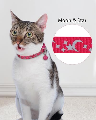 image for TagME Cat Collar with Name Tag, Personalized Reflective Cat Collar Bre
