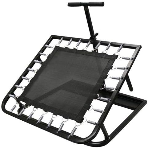 212 Main Square Medicine Ball Rebounder