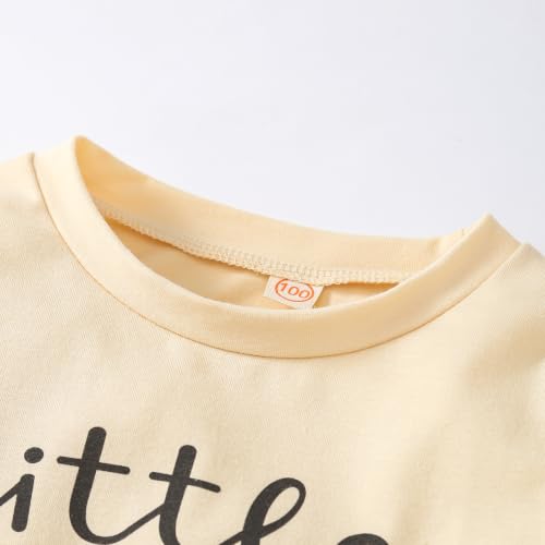 Image of Toddler Baby Girl Fall Clothes Sweatshirt Pants 2Pcs Outfits 1-5T