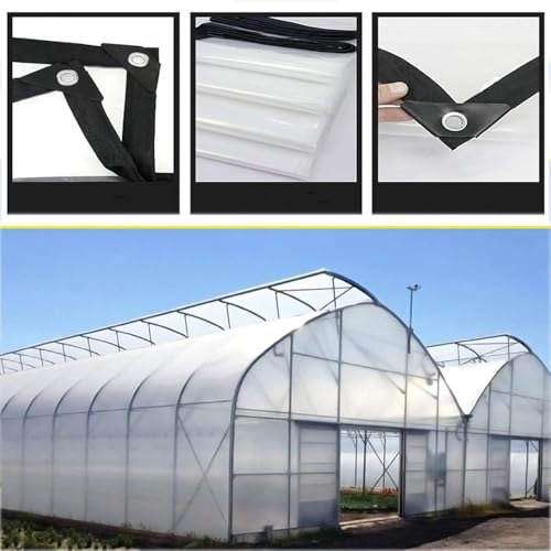 Lona Transparente 2x5m Impermeable con Ojales y PE Plegable 7