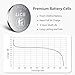 LiCB CR2032 Battery,Long-Lasting & High Capacity CR 2032 3V Coin & Button Cell Lithium Batteries with Adaptive Power and Superior Safety (20-Pack)