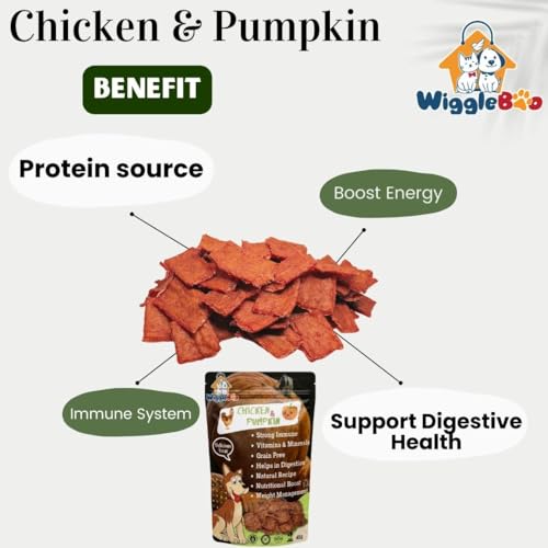 Image of Chicken & Pumpkin Dog Treat | Travel Pack |Protein Rich | Natural De-wormer | for All Dog Breed | Crunchy Snack | 45g