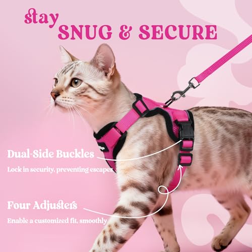 Image of rabbitgoo Cat Harness and Leash Set, Escape Proof Vest, Rose Red | Soft Breathable Mesh, Easy Adjustable Fit, Snap Buckles, Sturdy Clip, Reflective Strips, for Average Cats Walks, S