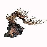 Natürliches Aquariumschmuck - Dieser 15 cm x 20 cm große Bonsai-Treibholzbaum wird aus echtem Treibholz hergestellt und in kleine Landschaftsstücke verarbeitet, die sich perfekt für organische Panzeranordnungen eignen. Hilft pH-Niveaus auszugleichen - Treibholz-Bonsaibäume enthalten Gerbsäure, die das Wasser für ein gesundes, natürliches Gleichgewicht erweicht und aufbereitet, ideal für Fische. Erstellen Sie ein atemberaubendes Thema - Sicher für Fische, Garnelen und Schildkröten. Kombinieren Si