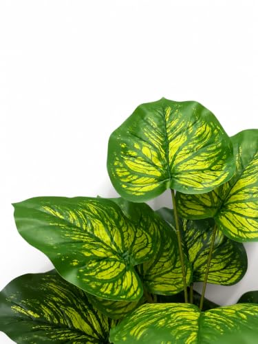 Image of Cocco.BUA Artificial Plant with Black Pot, 18 Leaves, 76 CM (2.5 Feet) (Dieffenbachia Leaf Plant)