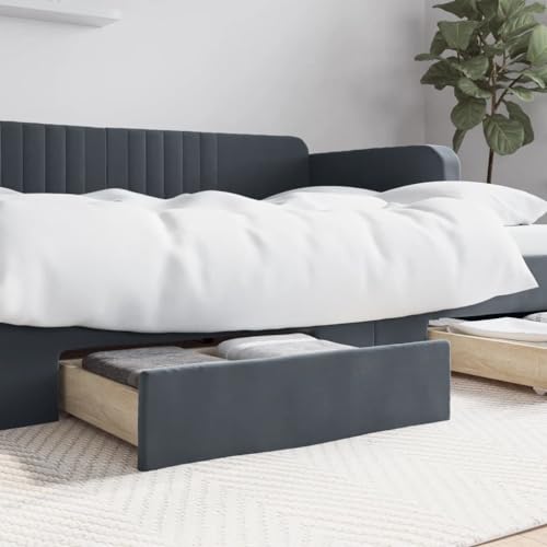 LAPOOH Cajones de almacenamiento para cama, 2 unidades, madera y terciopelo de ingeniería gris oscuro, cajones de almacenamiento debajo de la cama-833929