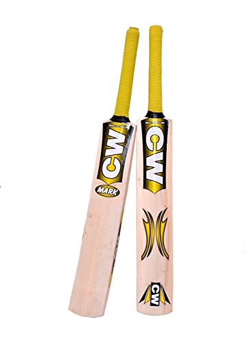La Mejor Selección de Ropa de Cricket para Niño los 5 mejores. 42 CW Junior Mark - Bate de críquet en Cachemira Willow para niños y jóvenes, talla 1 a 3 para 4 a 6 años (3 para 5-6 años)