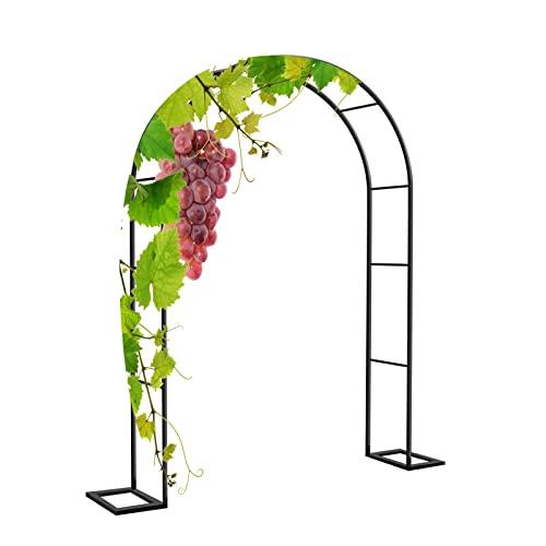 Arche de mariage décorative pour rosiers grimpants et vignes