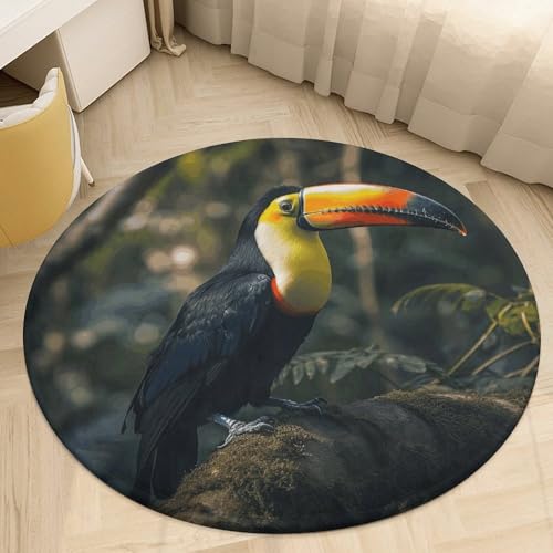 �v���b�V�� �R�[���� �x���x�b�g ���E���h �G���A���O 2�t�B�[�g �ɔ� 0.5 cm �J���t�� �I�I�n�V �t���A�}�b�g ����~�� TPR���n ��p�C�� ����\ �E�F���J���t�����g�h�A�}�b�g �Q�� �o�X���[�� ���ւ̑����p