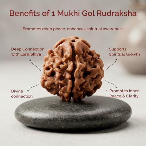 Image of Divine Hindu 1 Mukhi GOL Rudraksha | GJSPS Certified | Original Nepal Ek Mukhi Round Bead | Single Face Rudraksha for Moksha, Meditation & Shiva Devotion