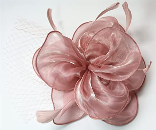 Shueriet Fascinators Hat Flower Meshveil Ribbons Feathers On A Headband And A Clip Tea Party Headwear For Girls And Women (A5-Skin Pink) #TOP1