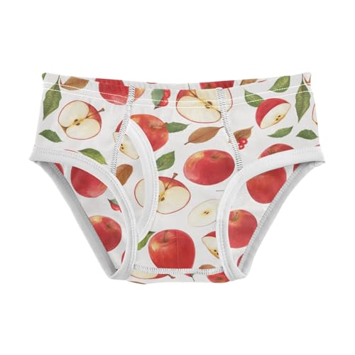 Wusikd Red Apple Boys' Underwear Cotton Boys Briefs Soft Toddler Underwear 2T