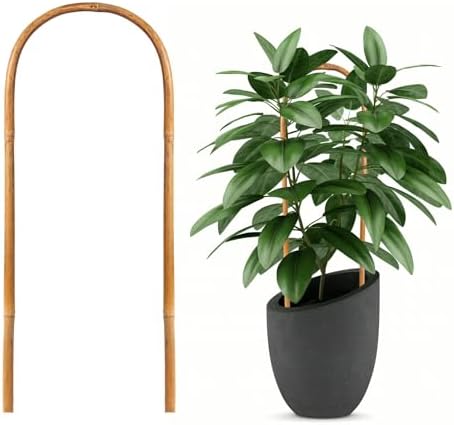 Hanaruer 20 Pack Bamboo Trellis, Natural Bamboo Plants Trellis U-Hoop, 16" Garden Trellis with Twist Ties, Bamboo Trellis U-Shape for Climbing Plant Support, Small Potted Plant Trellis for Indoor