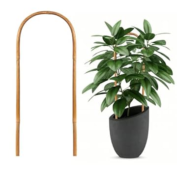bamboo trellis for indoor plants