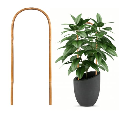 20 Pack Bamboo Trellis, Natural Bamboo Plants Trellis U-Hoop, 16"...