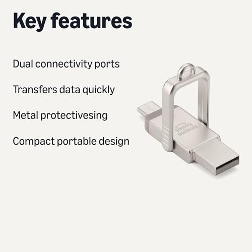 Amazon Basics USB Flash Drive, Thumb Drive Memory Stick with USB C and USB A Dual Ports, 256GB, Champagne Silver