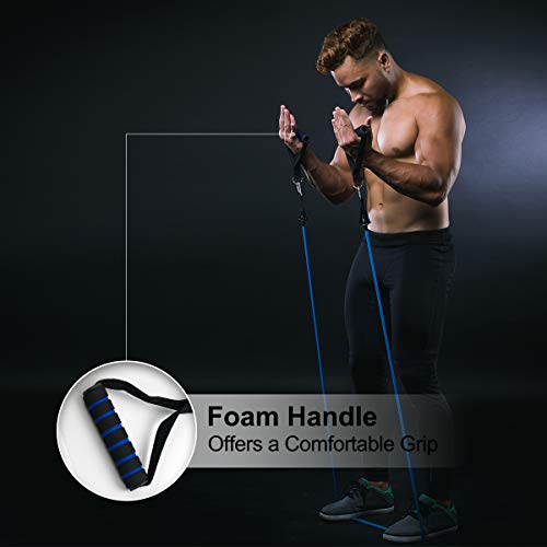 CORATED Resistance Bands Set - Beginner - Professional - Exercise Band for Working Out - Includes Stackable Workout Bands, Handles, Ankle Straps and Carry Bag