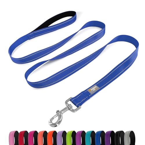PenSeepet Dog Leash 6 FT Padded Handle Nylon Reflective Dogs Leashes for Medium Dogs Blue